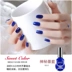 Màu sắc ngọt ngào Nail Nail Gemstone Blue thân thiện với môi trường, không độc hại, khô nhanh, lâu trôi - Sơn móng tay / Móng tay và móng chân