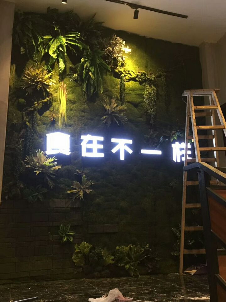 仿真植物人造草皮加长植毛青苔块草坪地毯装饰仿真青苔草坪植毛草 - 图3