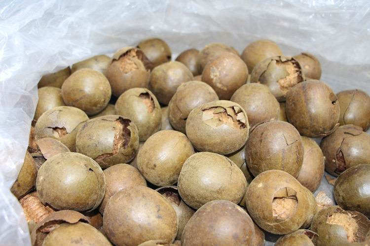 中大果破果响碎果广西凉茶罗汉果 千花堂罗汉果