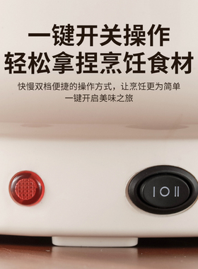 加厚电炖锅煮粥煲汤锅304不锈钢