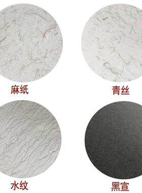 国画扇面工笔画国风空白团扇宣纸