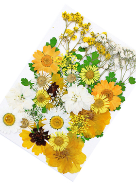 diyflower组合包真树叶干花