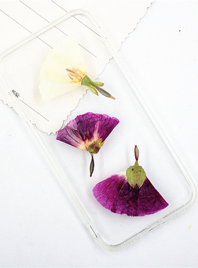 古代干花少女扇形干花香薰蜡片