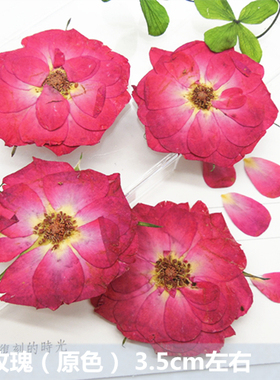 diy滴胶植物标本未了flower干花
