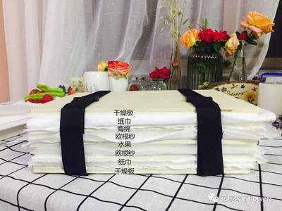 欧根纱纱布搭配压花板押花器压制草莓柠檬猕猴桃等水果蔬菜用 虎窝淘