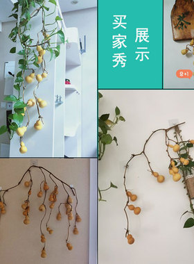 天然连枝葫芦挂件葫芦串