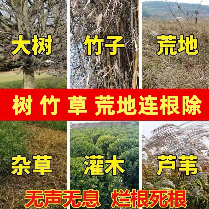 杀大树烂根药大树一滴死强力除树剂死树烂树根剂刹大树除树除草药 - 图3