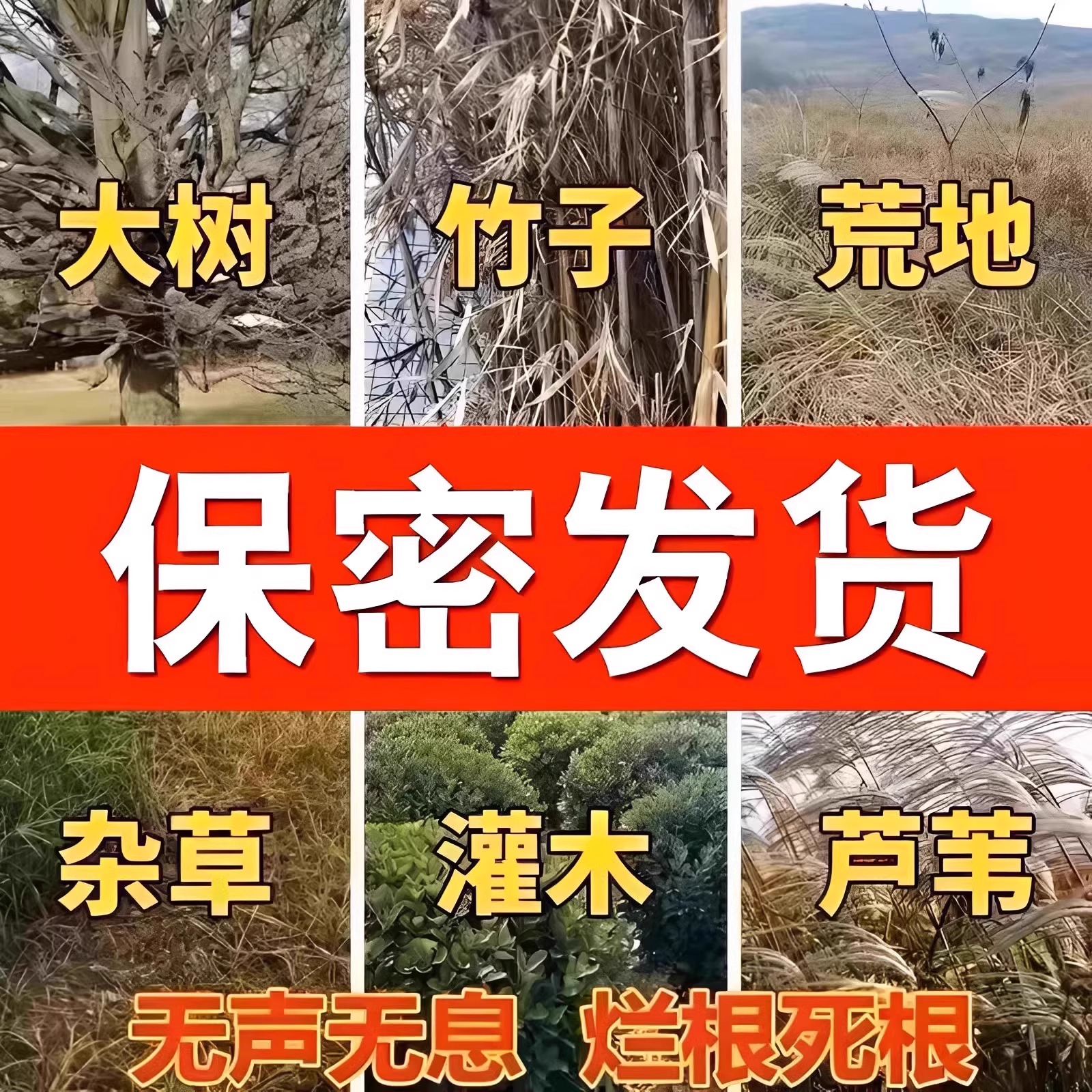 大树烂根药大树一滴死烂树根剂除树强力除草灭竹子枯树药专用神器 - 图2