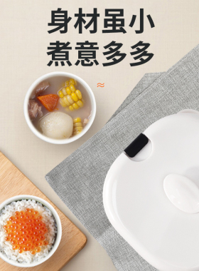 宿舍迷你电饭煲单人1L