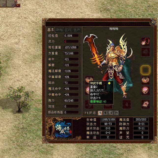 传奇世界单机版 飞扬传世神武级 装备改造合成强化 法师多种宝宝