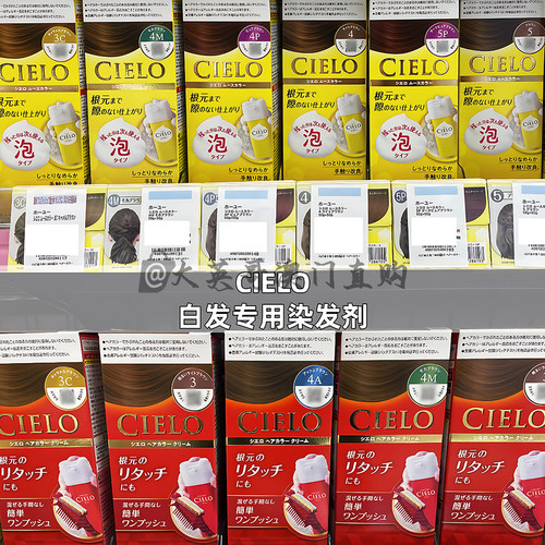 日本hoyu美源CIELO宣若染发剂遮白发植物健康纯泡泡沫膏霜女进口 - 图3