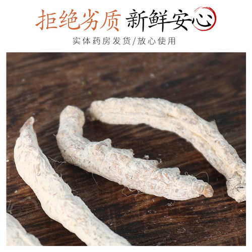 中药材正品精选白僵蚕 僵蚕粉 白僵虫 天虫姜蚕姜虫 僵蚕50克 - 图1
