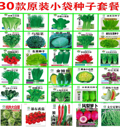 蔬菜种孑农家辣椒番茄黄瓜盆栽西红柿韭菜香菜四季菜种籽大全种子 - 图1