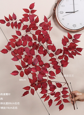 秋色加密款大片仿真凌霄叶