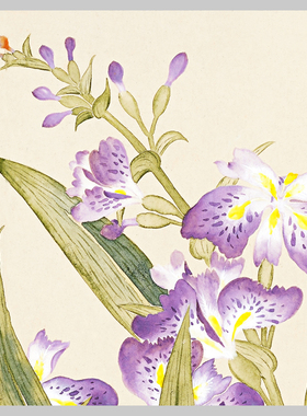 清董诰花卉册页工笔花鸟微喷画