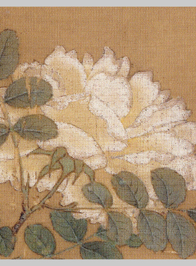 宋马远白蔷薇图书画花卉国画