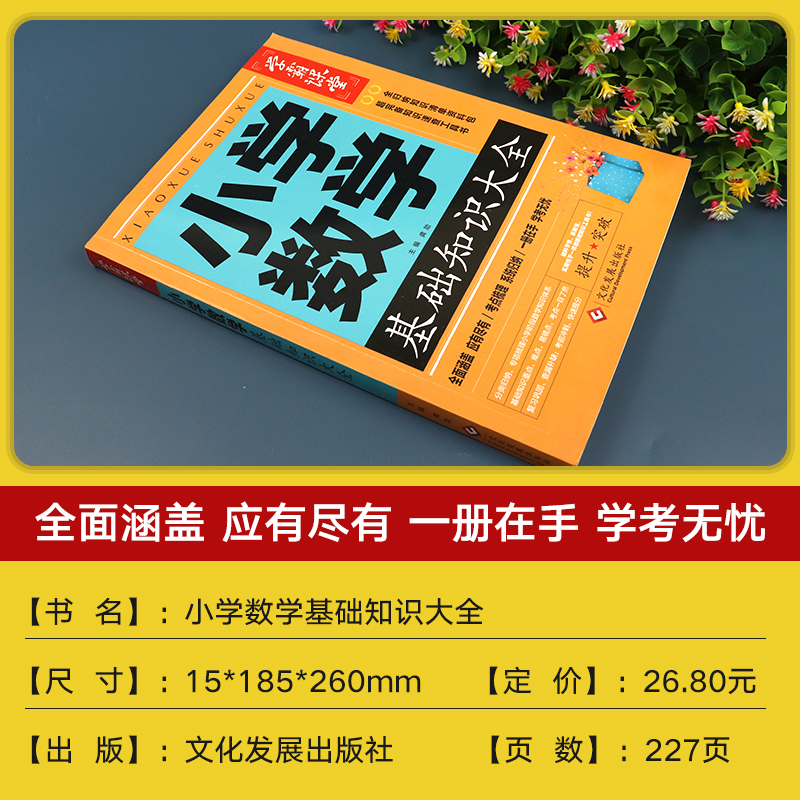 2024新版 小学数学基础知识大全知识点汇总公式定律手册 课堂课本学霸笔记宝典归纳本专项训练小升初系统总复习资料练习题教材全解