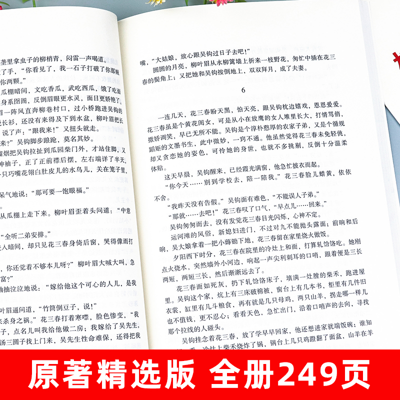 蒲柳人家 刘绍棠 九年级下册必读名著初三下学期课外阅读书籍初中生适合看的课外书语文配套经久不衰乡土文学范本原汁原味京味传奇 - 图0