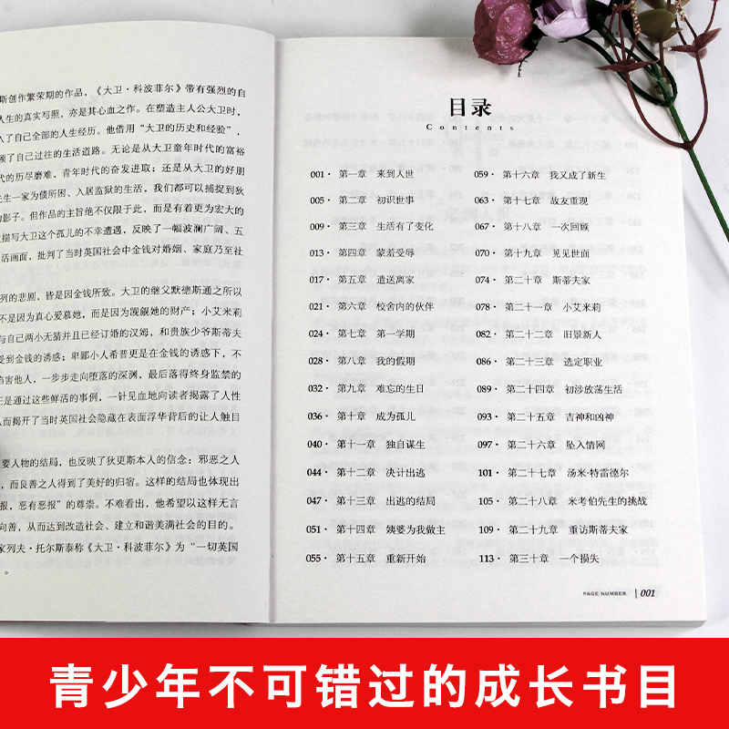大卫科波菲尔原著正版 名家名译世界十大名著精选 适合初中生高中生阅读的书籍 青少年课外阅读书籍推荐书目 外国文学小说书畅销书 - 图1