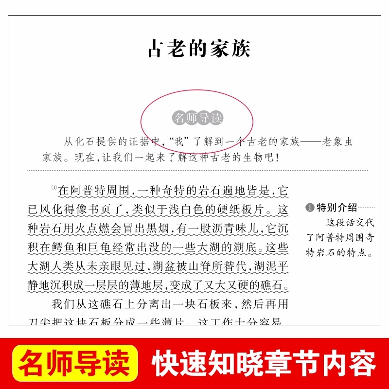 中国古代寓言故事三年级下册必读课外书全套5册快乐读书吧推荐书目伊索寓言克雷洛夫寓言昆虫记法布尔拉封丹寓言3年级课外阅读书籍 - 图1