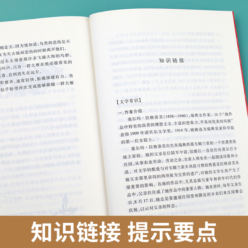 尼尔斯骑鹅旅行记原著正版人民文学出版社六年级下册必读课外书小学生课外阅读书籍6年级经典书目快乐读书吧推荐青少年读物-图2