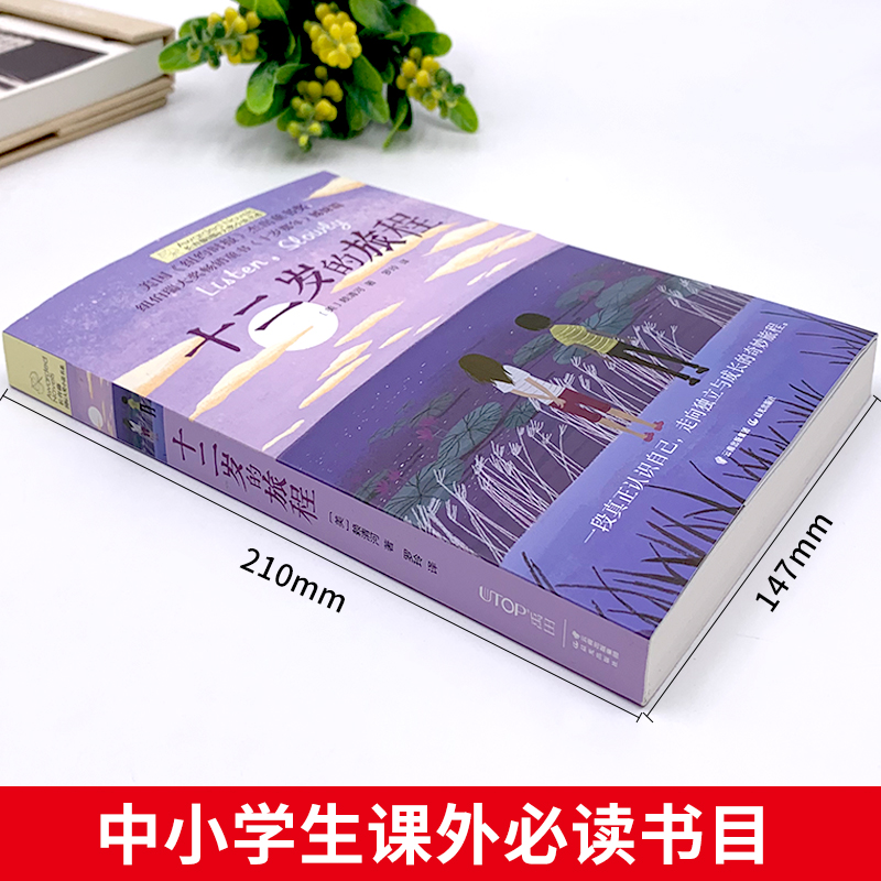 长青藤国际大奖小说书系全2册十二岁的旅程 五年级的烦恼纽伯瑞儿童文学奖三四五六年级课外书老师推荐小学生故事书青少年励志读物