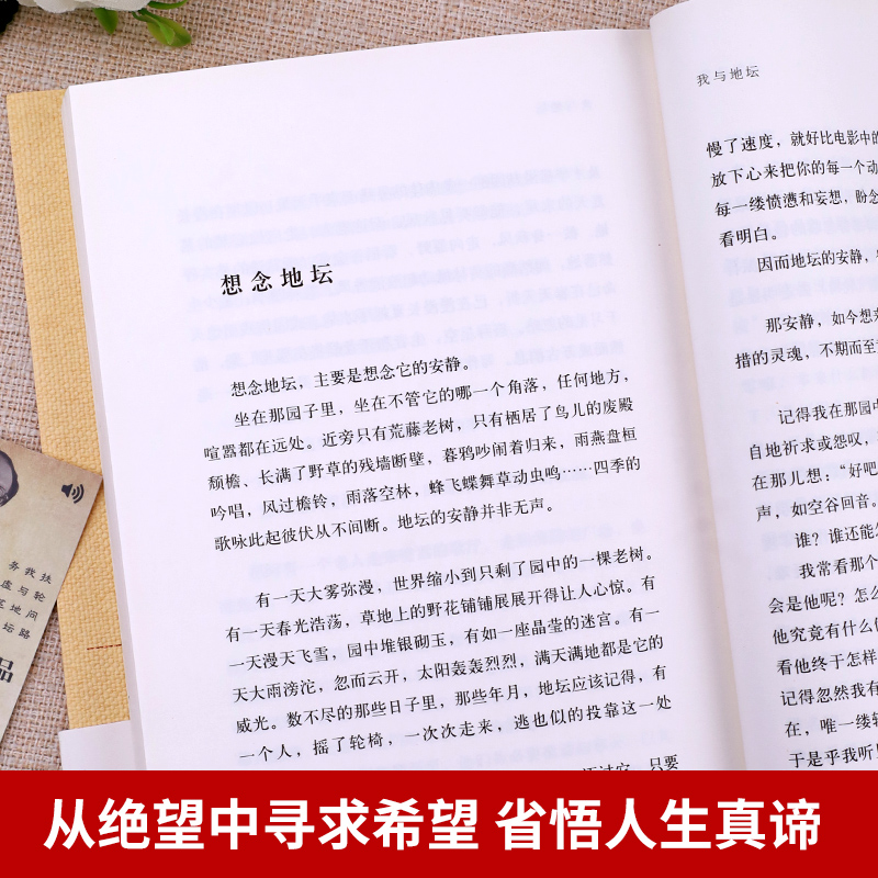 我与地坛史铁生灵魂代表之作人民文学出版社完整版正版中国现当代文学随笔散文集小说读物经典书籍畅销书排行榜高中高一课外书必读-图2