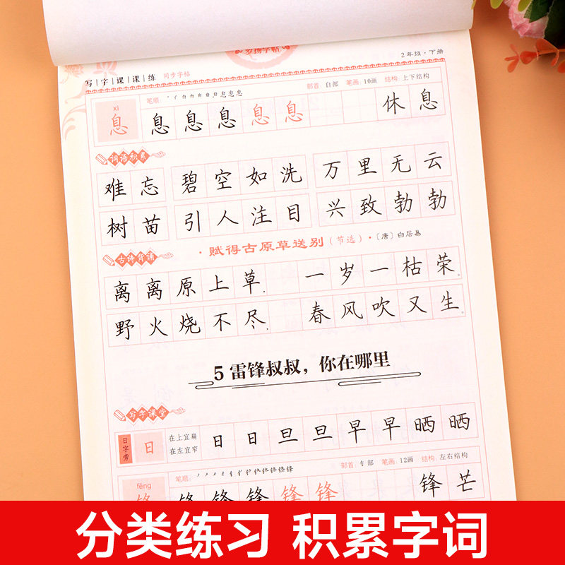 二年级下册练字帖每日一练人教版同步语文课本字帖练字部编版 小学2年级寒假专用练字帖描红带笔画笔顺临摹硬笔书法练字本控笔训练