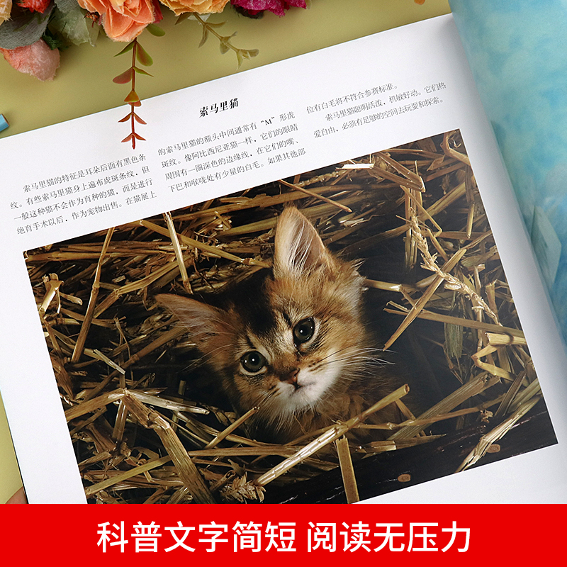 经典科普图鉴系列—猫 爱猫人士的观赏性书籍科普绘本动物百科全书大全趣味阅读6-12岁儿童小学生 关于猫的书猫咪动物知识自然图鉴 - 图1