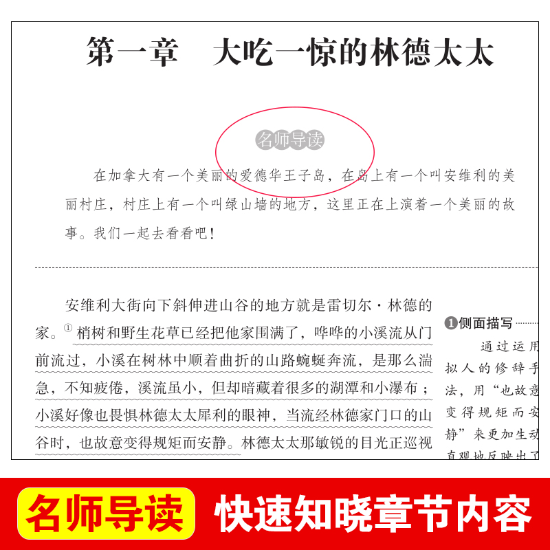 绿山墙的安妮原著全集正版 小学生课外阅读书籍 四年级五六年级必读经典书目  老师推荐初中生青少年儿童文学畅销书故事书读物全套 - 图0