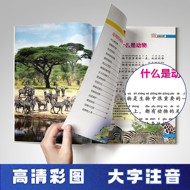 全套12册儿童课外阅读书籍一年级二年级课外书必读老师推荐正版注音版小学生科普百科全书读物 带拼音的故事书绘本6-7一8-10岁以上 - 图1