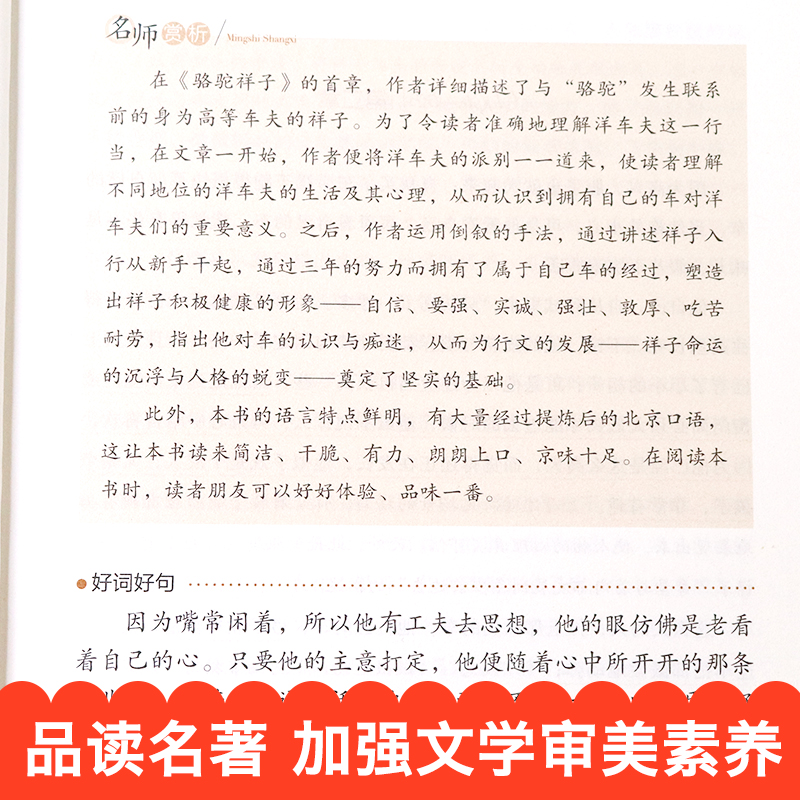 骆驼祥子原著正版老舍七年级下册必读初中生初一课外阅读书籍畅销书排行榜世界名著课外书文学经典的书名著青少年版原版散文集-图2