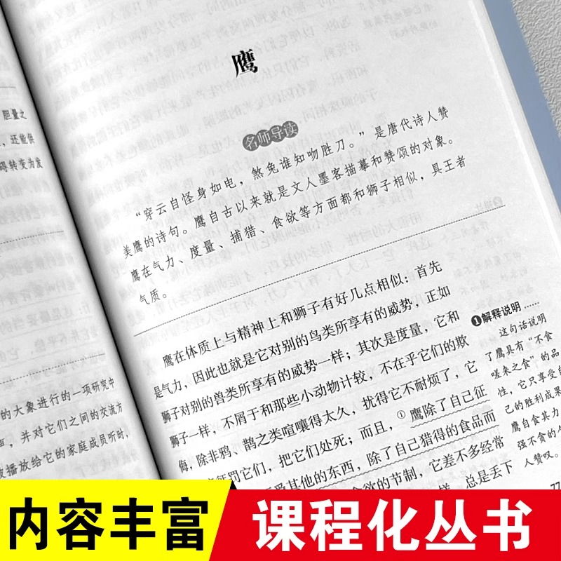 动物素描 小学语文教材配套快乐读书吧书目 五年级上册必读的课外书经典名著 适合小学生课外阅读书籍四五六年级 儿童文学读物故事 - 图1