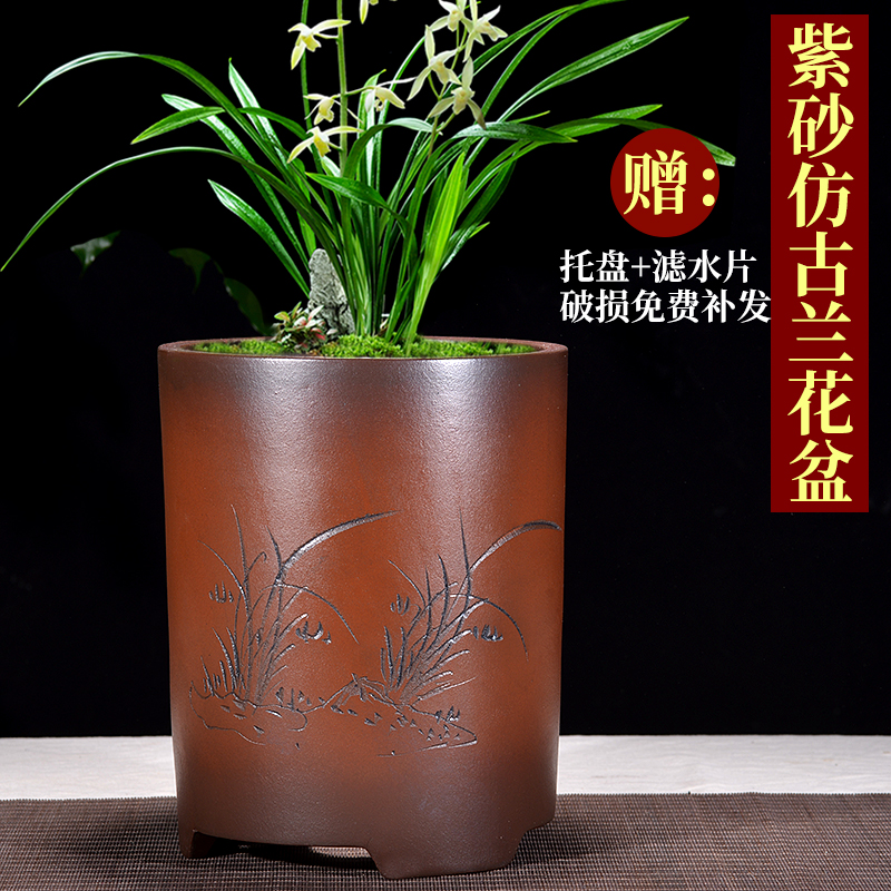 紫砂花盆君子兰兰花多肉文竹发财树植客厅精品透气陶瓷盆景盆包邮 - 图2