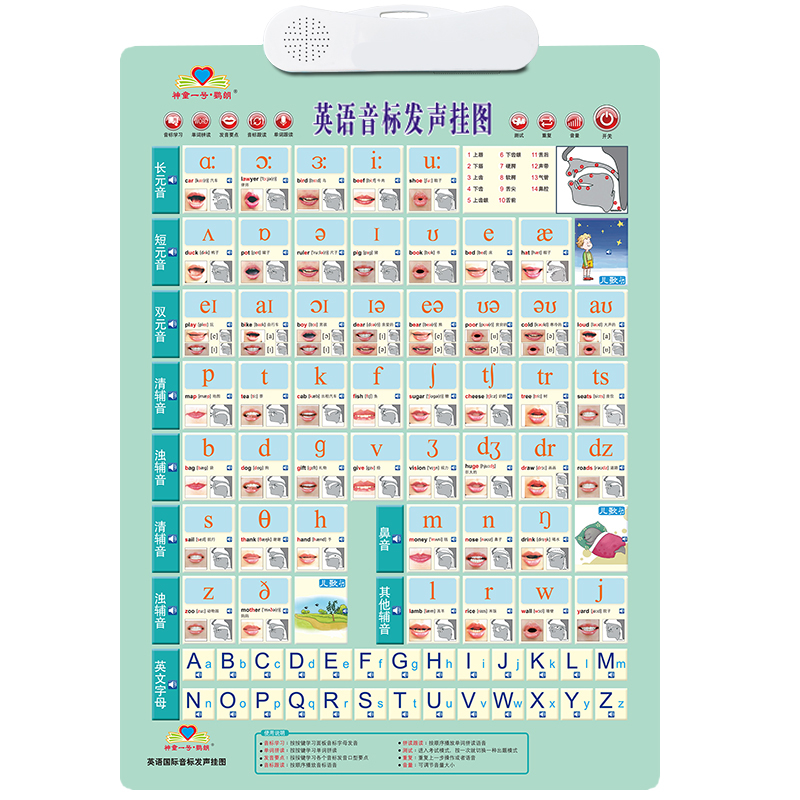 美式发音48个英语国际音标有声挂图小学生音标入门26字母自然发音-图3