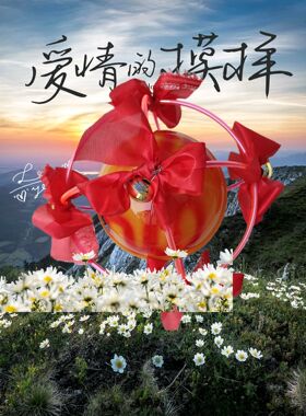 舞狮滚绣球舞龙灯舞狮子道具成人舞龙服装南狮北狮游戏道具高档