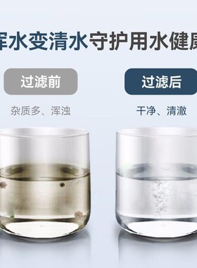 泓沥家用大流量RO反渗透纯水机