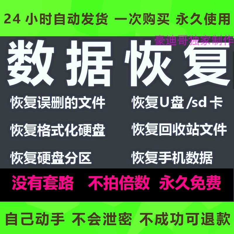 电脑格式U盘内存卡硬盘大师数据恢复软件工具图片视频文件文档 - 图0