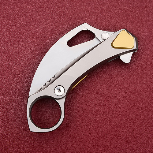 FOREVER STEEL永钢户外装备小折刀 野营露营工具装备折叠刀守宫 - 图1