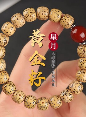 原生态星月菩提子手串高密顺纹