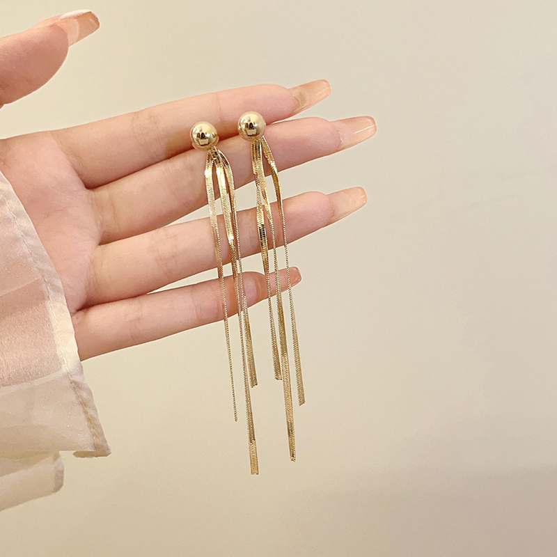 流苏耳环女小众设计耳坠轻奢高级感2025新款爆款耳钉银针长款耳饰 - 图1