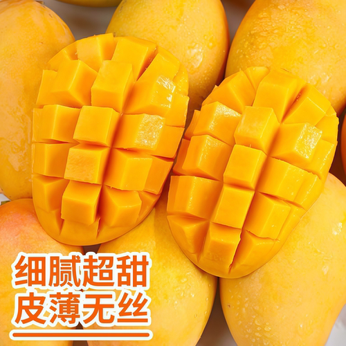 海南小台农芒果苗正宗嫁接芒果树苗当年结果阳台庭院盆栽芒果树苗 - 图1