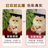 Canon sublimation photo paper special ink cartridges