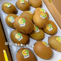 Sea Turtle HAPPY MONKEY YELLOW HEART MACAQUE EXOTIC FRUIT GIFT BOX DRESS FRESH WHEN SEASON FRUIT MARKET CHUANG YU-FENG