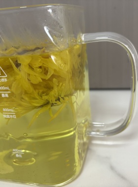 巴森养生1升D1壶高硼硅玻璃壶配件壶身办公室防爆烧水泡茶方壶