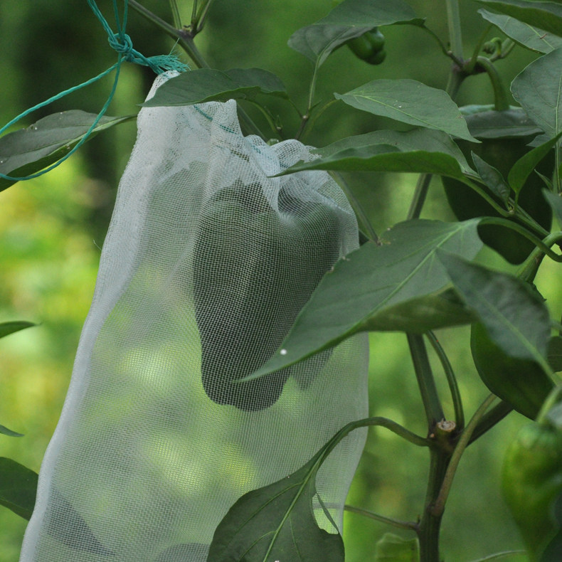 供应尼龙网袋种子袋浸种育种袋纱网袋防虫袋果树套袋火龙果袋蛇袋,淘宝优惠券,粉丝福利购,淘宝优惠卷