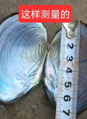 贝壳珍珠粉雕刻树漆烧烤手工作业材料一片价