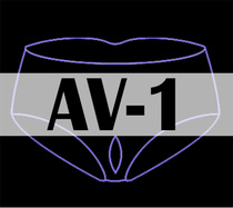 Pseudo-Lady CD Changed Silicone Briefs of Silicone Briefs and Hip Fonds Triangle Fake pussy Changing Dress Pants