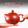 Authentic Yixing small-capacity purple clay pot original purple clay Dahongpao sketch Xishi pot one-person kung fu teapot tea set
