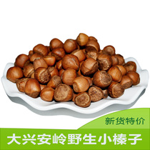 Northeast Wild Hazelnut Nuts Original Taste 500 gr Opening Wild Little Hazelnut No Add 2 pieces